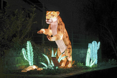 Magische Lichterwelten in Halle