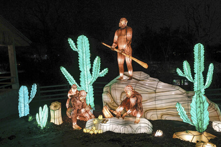 Magische Lichterwelten in Halle