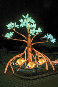 Magische Lichterwelten in Halle