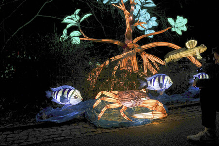 Magische Lichterwelten in Halle