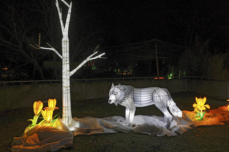 Magische Lichterwelten in Halle