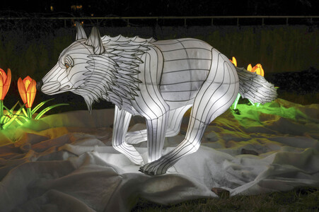 Magische Lichterwelten in Halle