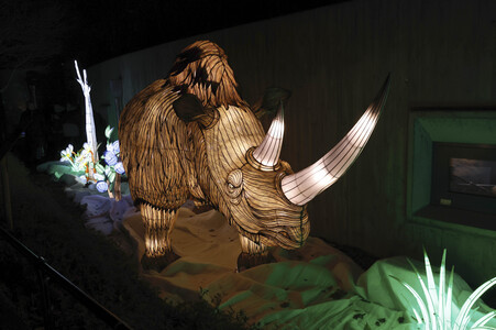 Magische Lichterwelten in Halle