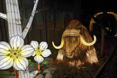 Magische Lichterwelten in Halle