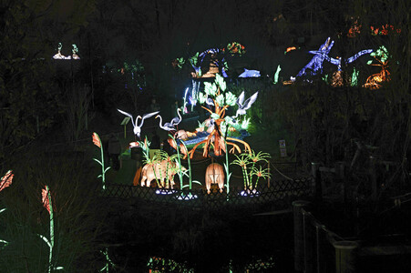 Magische Lichterwelten in Halle