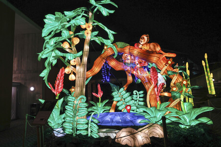 Magische Lichterwelten in Halle