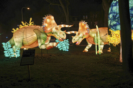 Magische Lichterwelten in Halle