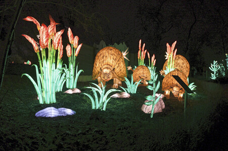 Magische Lichterwelten in Halle