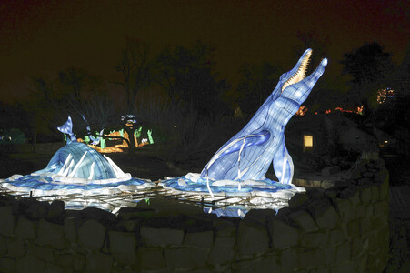 Magische Lichterwelten in Halle