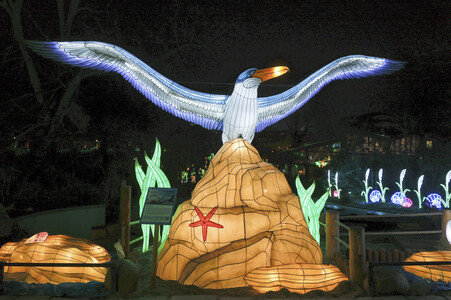 Magische Lichterwelten in Halle