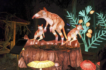 Magische Lichterwelten in Halle