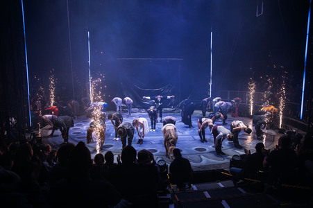 Flic Flac - Die Wintershow in Erfurt