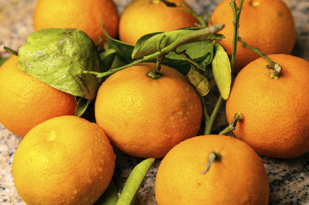 Symbolfoto Mandarine