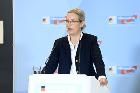 Fraktionssitzung der AfD-Bundestagsfraktion in Berlin