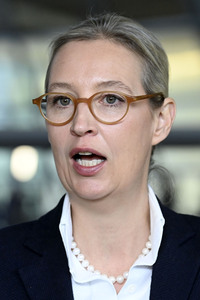 Fraktionssitzung der AfD-Bundestagsfraktion in Berlin