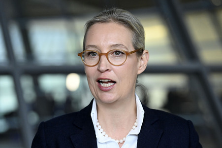 Fraktionssitzung der AfD-Bundestagsfraktion in Berlin