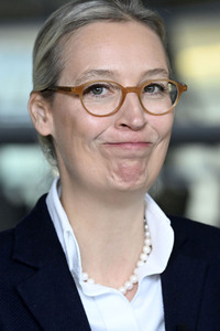 Fraktionssitzung der AfD-Bundestagsfraktion in Berlin