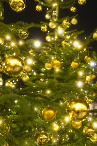 Weihnachtszeit am Pariser Platz in Berlin