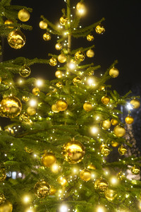 Weihnachtszeit am Pariser Platz in Berlin