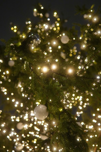 Weihnachtszeit am Pariser Platz in Berlin
