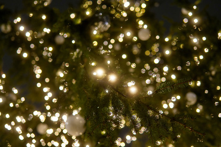 Weihnachtszeit am Pariser Platz in Berlin