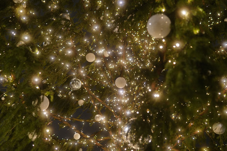 Weihnachtszeit am Pariser Platz in Berlin