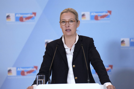 Fraktionssitzung der AfD-Bundestagsfraktion in Berlin