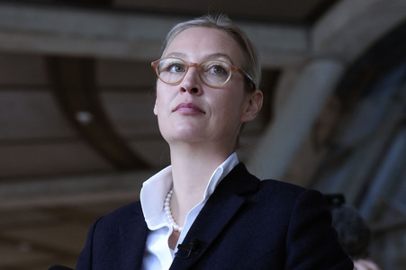 Fraktionssitzung der AfD-Bundestagsfraktion in Berlin