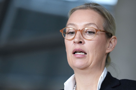 Fraktionssitzung der AfD-Bundestagsfraktion in Berlin