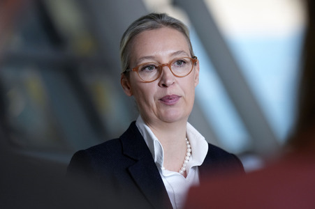 Fraktionssitzung der AfD-Bundestagsfraktion in Berlin