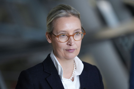 Fraktionssitzung der AfD-Bundestagsfraktion in Berlin