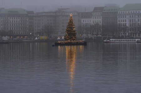 Die Alstertanne in Hamburg