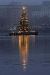Die Alstertanne in Hamburg