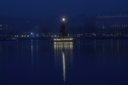 Die Alstertanne in Hamburg