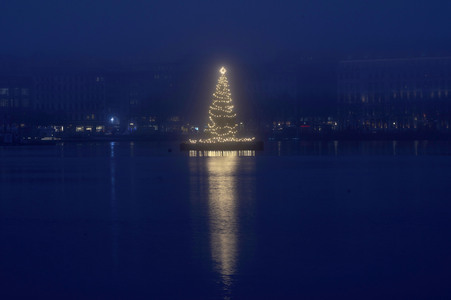 Die Alstertanne in Hamburg