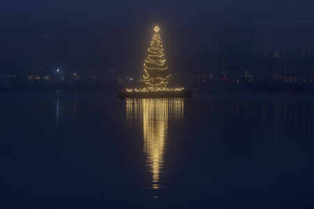 Die Alstertanne in Hamburg