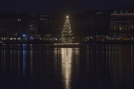 Die Alstertanne in Hamburg
