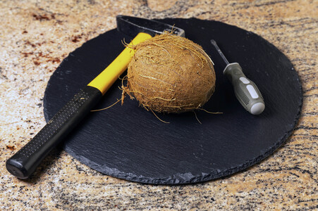 Symbolfoto Kokosnuss