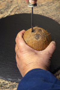 Symbolfoto Kokosnuss