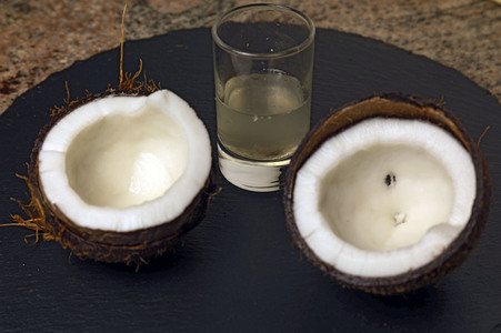 Symbolfoto Kokosnuss