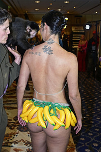 7. Dschungelparty zum TV-Start von 'Ich bin ein Star - Holt mich hier raus!' in Berlin