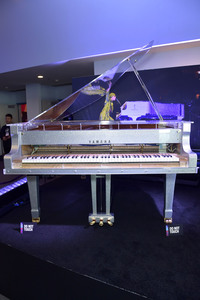 Musikmesse NAMM Show 2025  in Anaheim