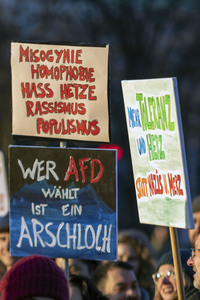 Demonstration gegen die AfD in Hamburg