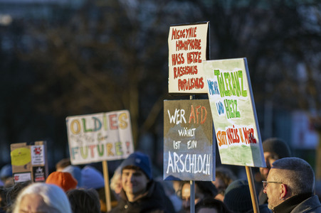 Demonstration gegen die AfD in Hamburg