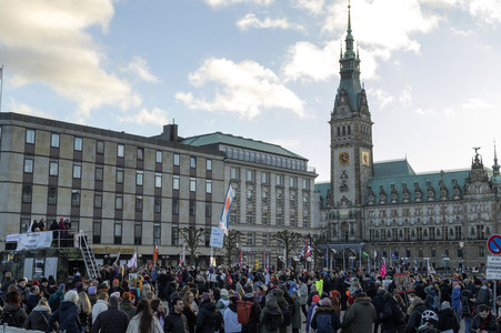 Demonstration gegen die AfD in Hamburg