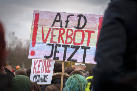 Demonstration 'Rettet die Brandmauer!' in Berlin