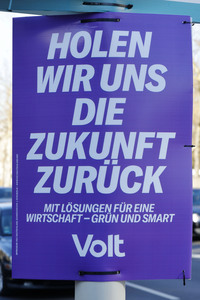 Wahlplakate zur Bundestagswahl 2025 in Bonn