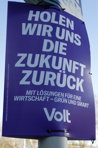 Wahlplakate zur Bundestagswahl 2025 in Bonn