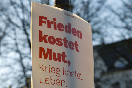 Wahlplakate zur Bundestagswahl 2025 in Bonn