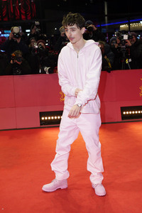 Filmpremiere 'Like A Complete Unknown', Berlinale 2025